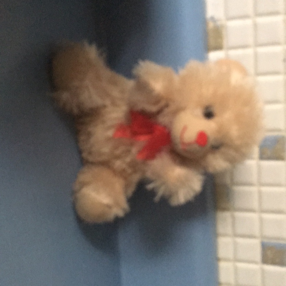 Teddy bear - Picture 4 of 4